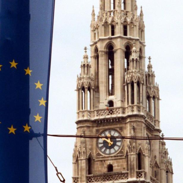 Wie Parteien um EU-Bürger werben
